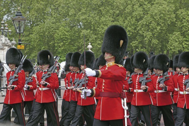 Bus Charter / Rent a Bus with Driver in London / Coach Hire Service